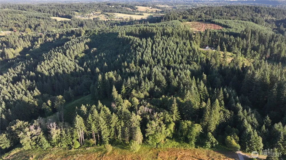 0 NE Finalburg Road La Center, WA 98629