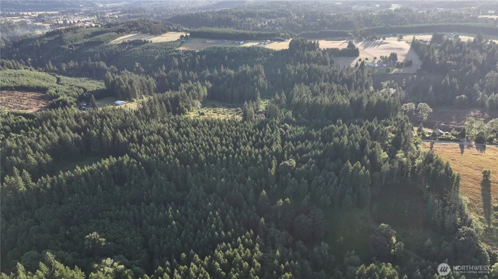 0 NE Finalburg Road La Center, WA 98629