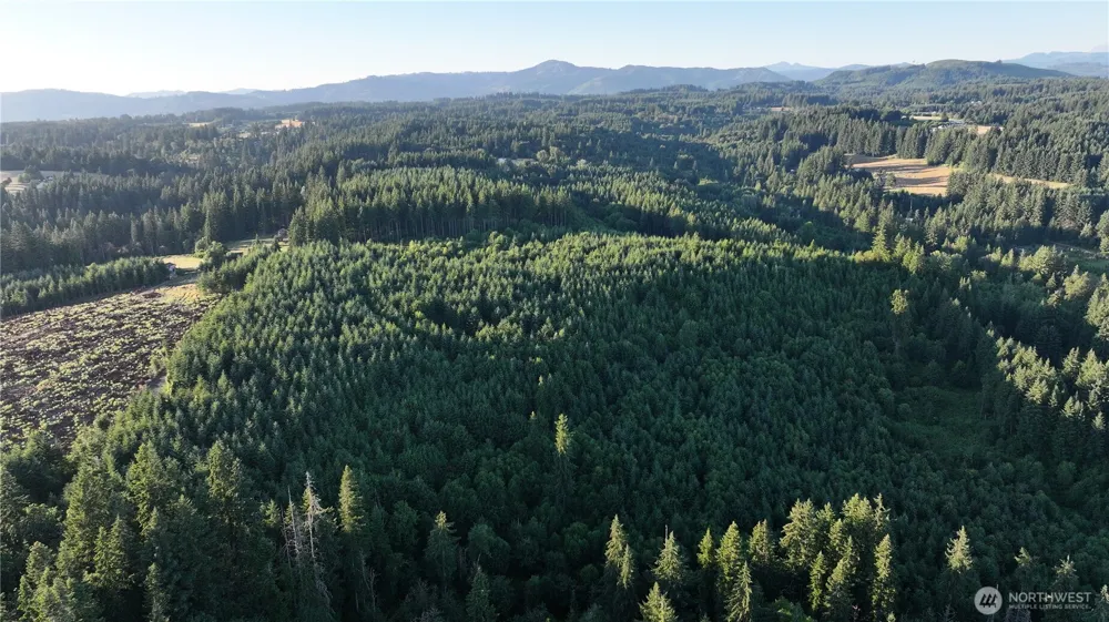 0 NE Finalburg Road La Center, WA 98629