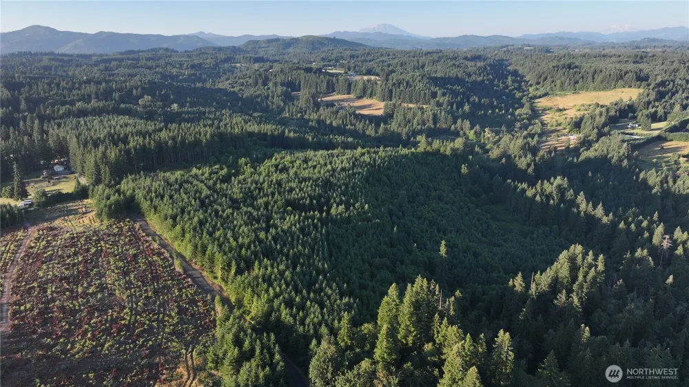 0 NE Finalburg Road La Center, WA 98629