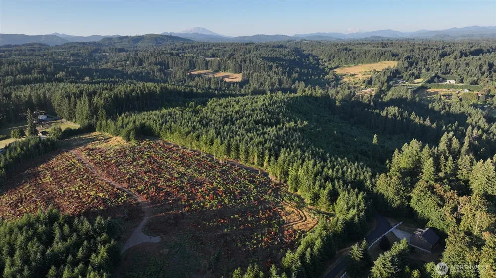 0 NE Finalburg Road La Center, WA 98629