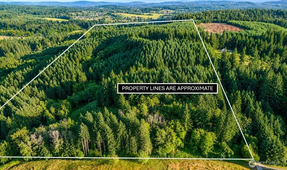 0 NE Finalburg Road La Center, WA 98629