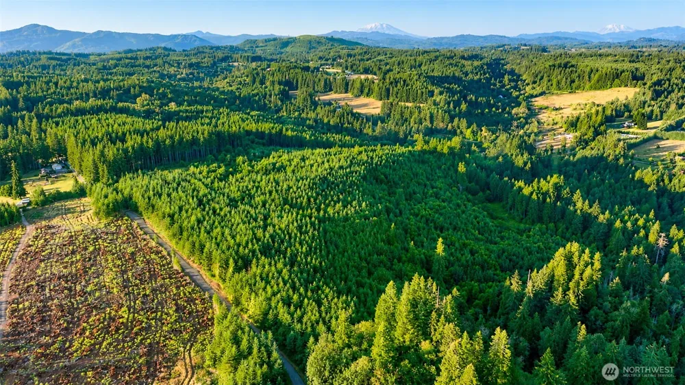 0 NE Finalburg Road La Center, WA 98629