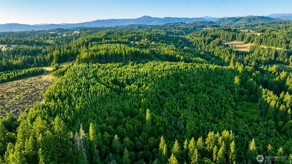 0 NE Finalburg Road La Center, WA 98629