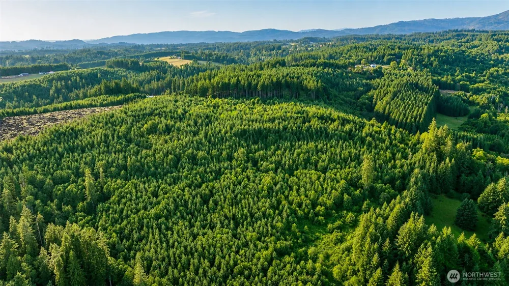 0 NE Finalburg Road La Center, WA 98629