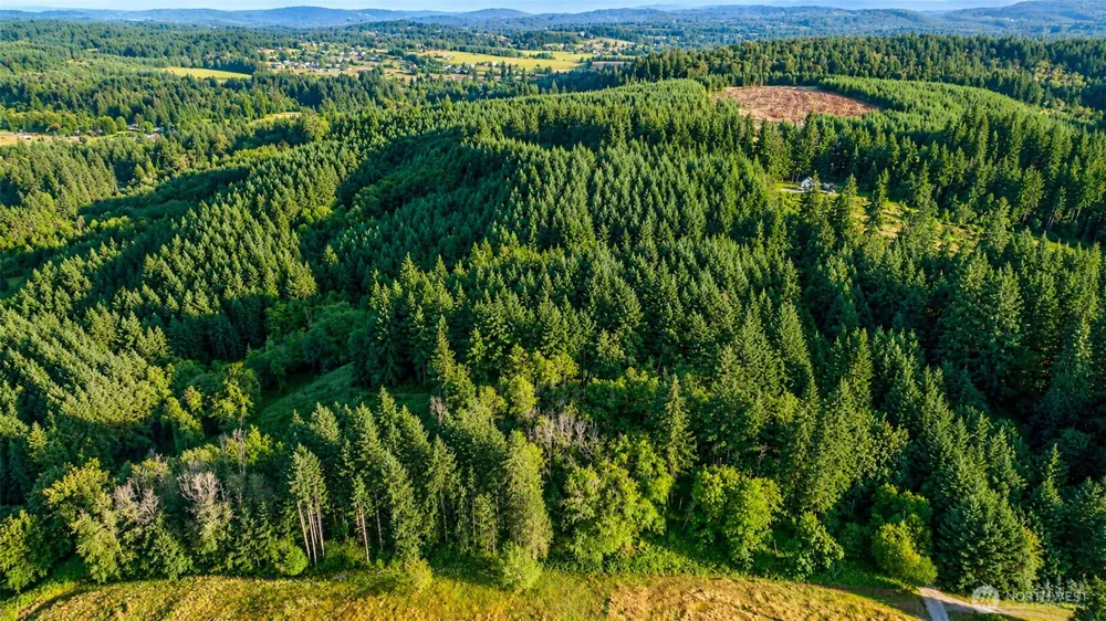 0 NE Finalburg Road La Center, WA 98629