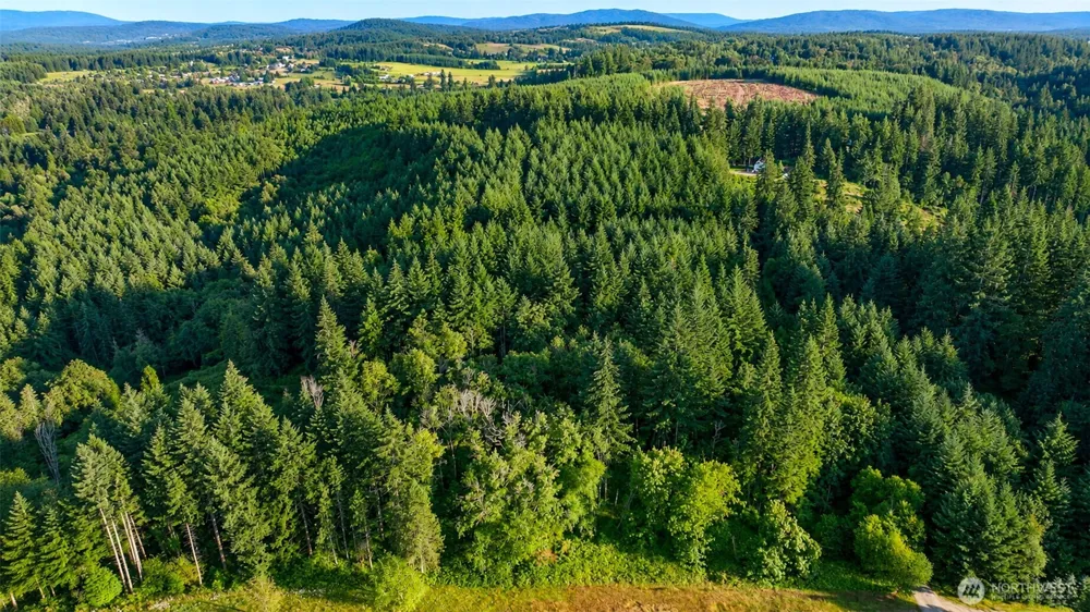 0 NE Finalburg Road La Center, WA 98629