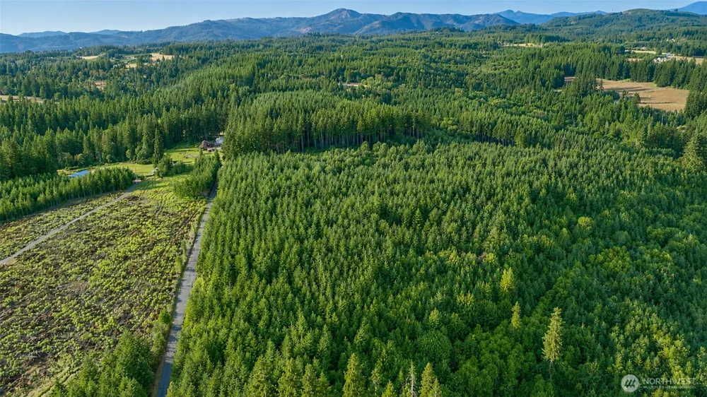 0 NE Finalburg Road La Center, WA 98629