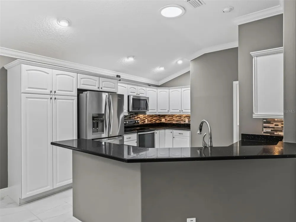 3556 MISTLETOE COURT The Villages, FL 32163
