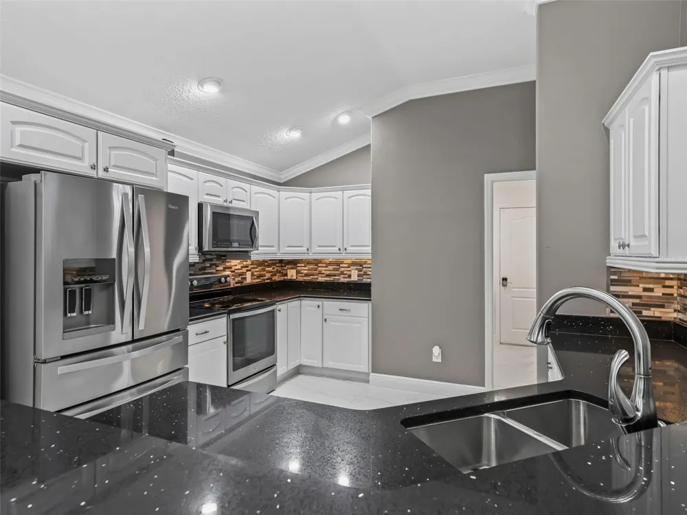 3556 MISTLETOE COURT The Villages, FL 32163