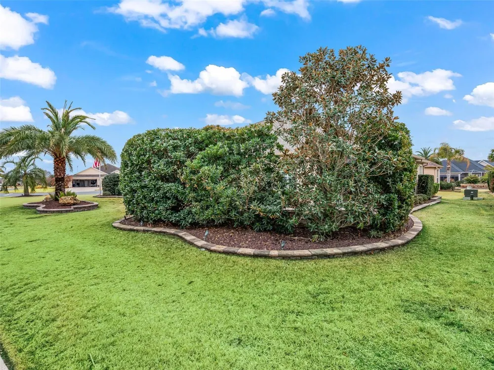 3556 MISTLETOE COURT The Villages, FL 32163
