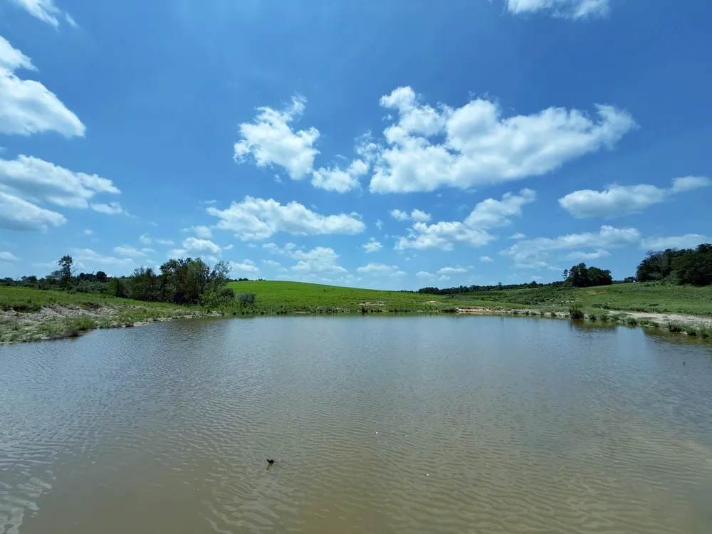 143 Cr 236 Oakwood, TX 75855