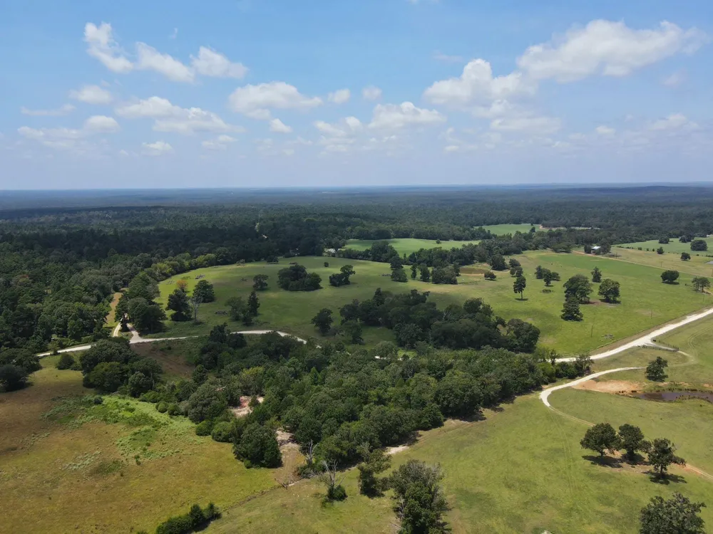 143 Cr 236 Oakwood, TX 75855
