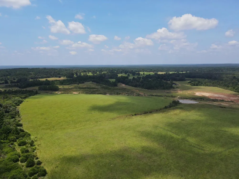 143 Cr 236 Oakwood, TX 75855