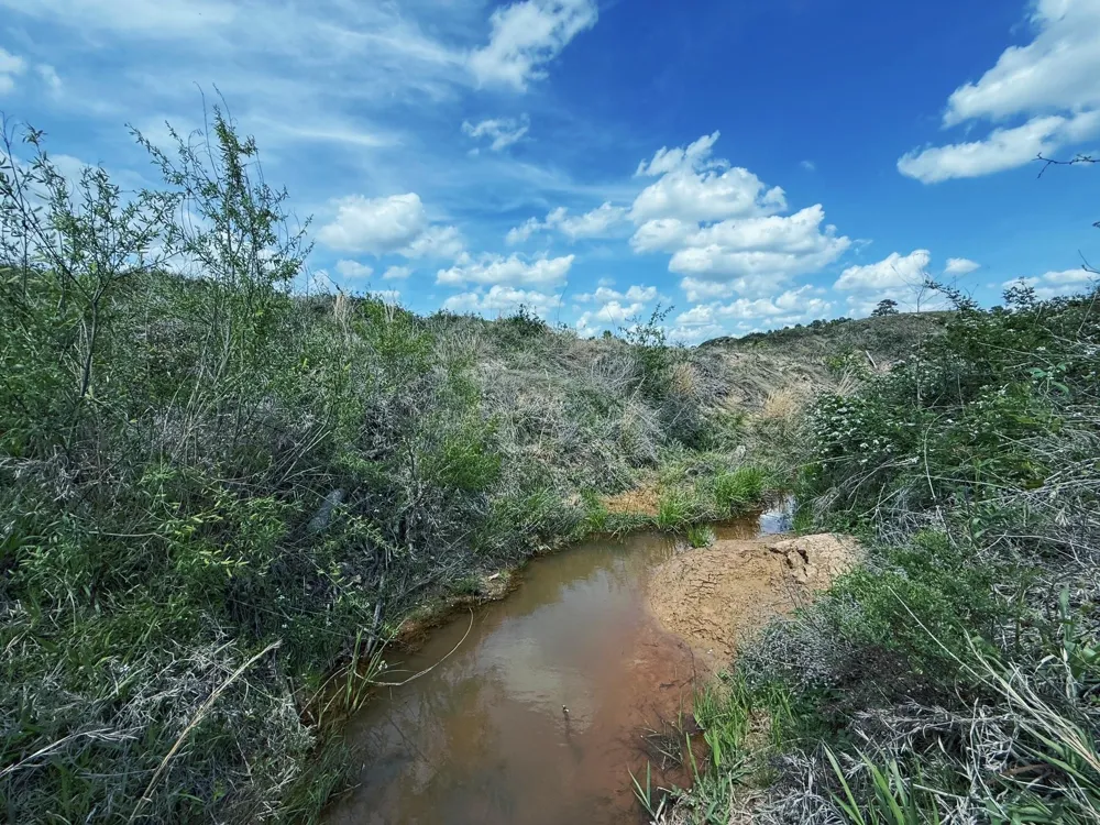 143 Cr 236 Oakwood, TX 75855