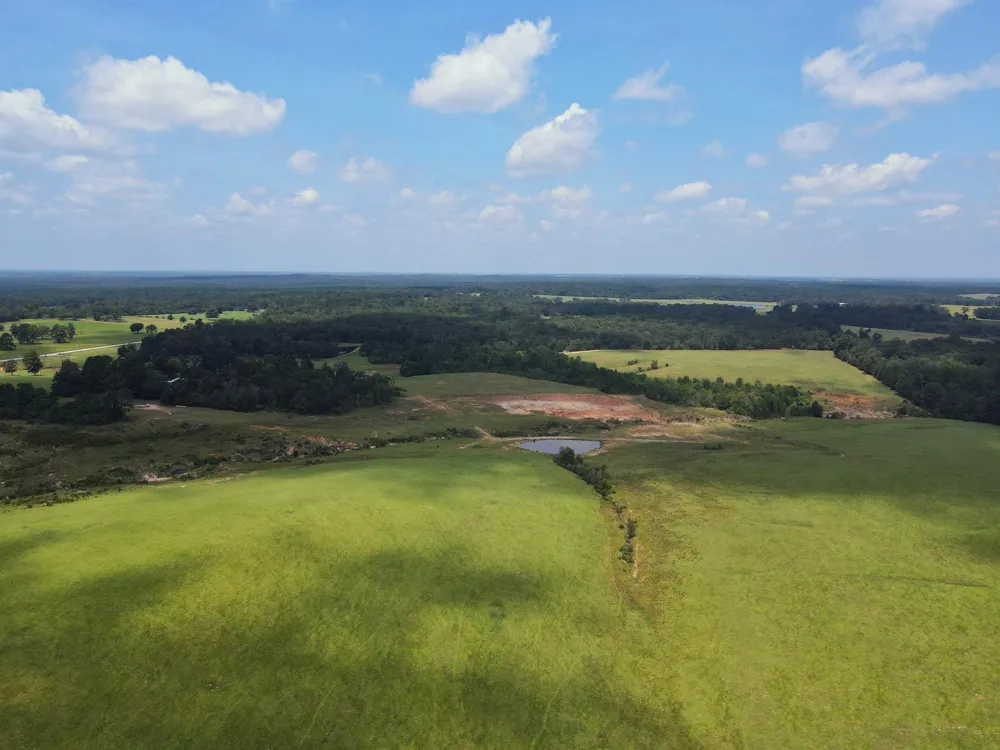 143 Cr 236 Oakwood, TX 75855