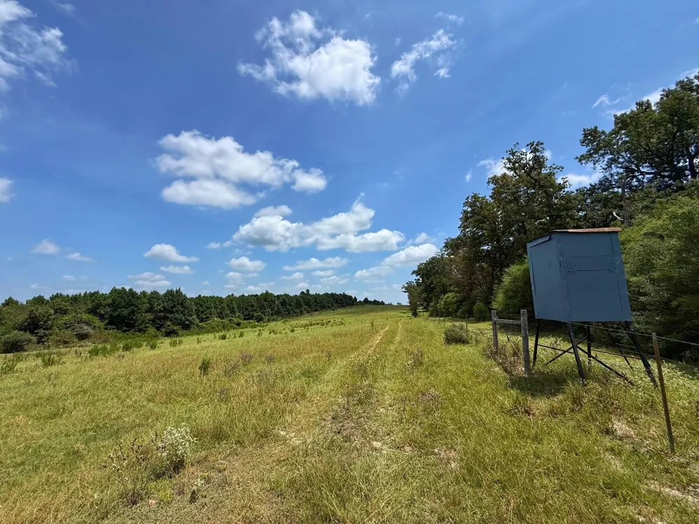 143 Cr 236 Oakwood, TX 75855