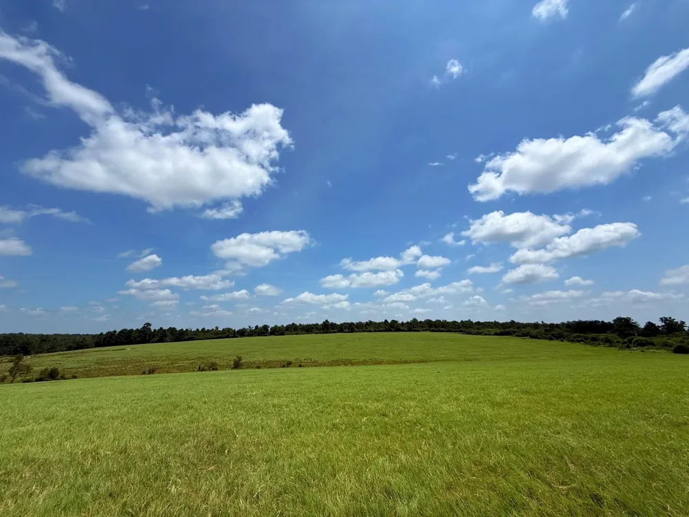 143 Cr 236 Oakwood, TX 75855