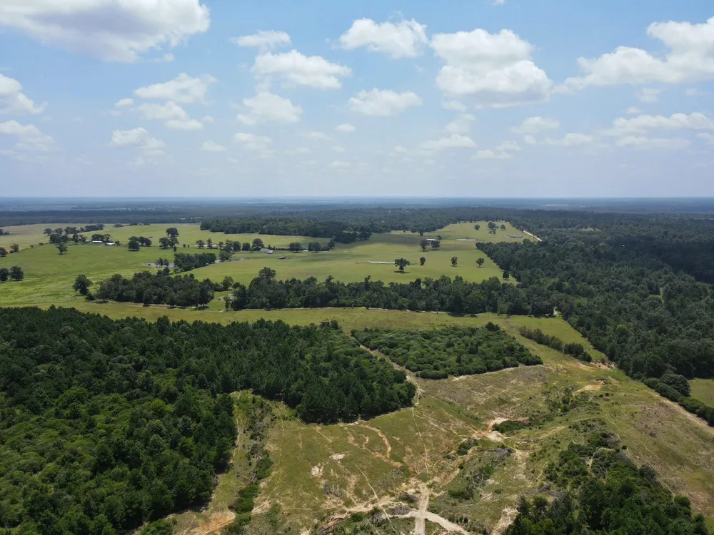 143 Cr 236 Oakwood, TX 75855