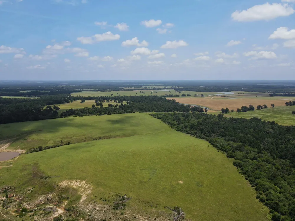 143 Cr 236 Oakwood, TX 75855