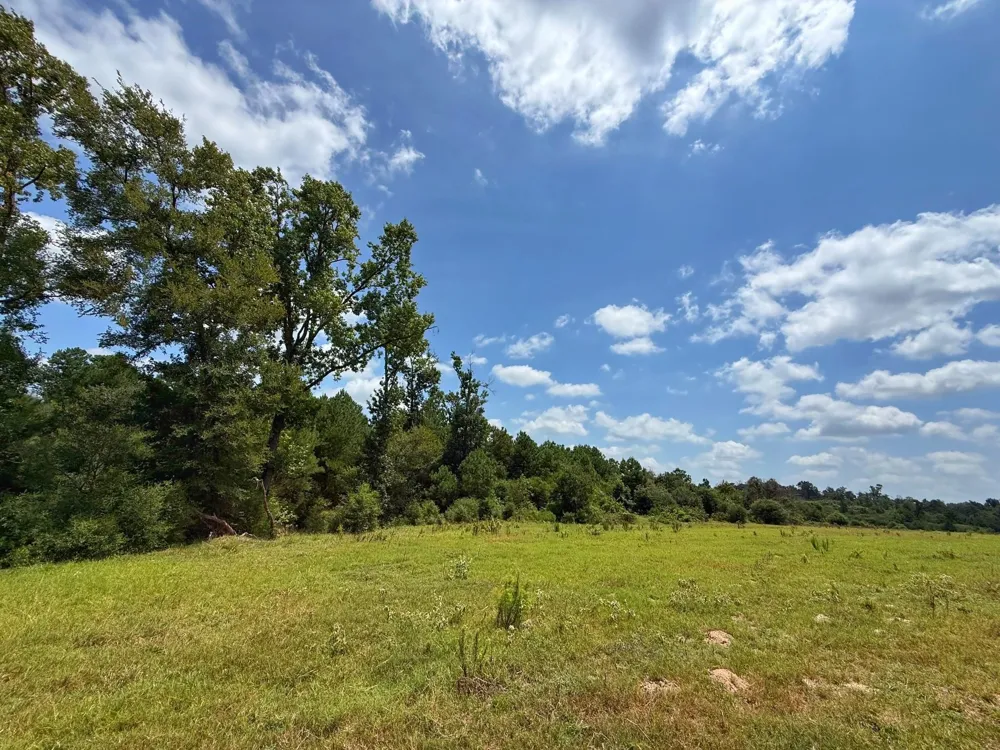 143 Cr 236 Oakwood, TX 75855