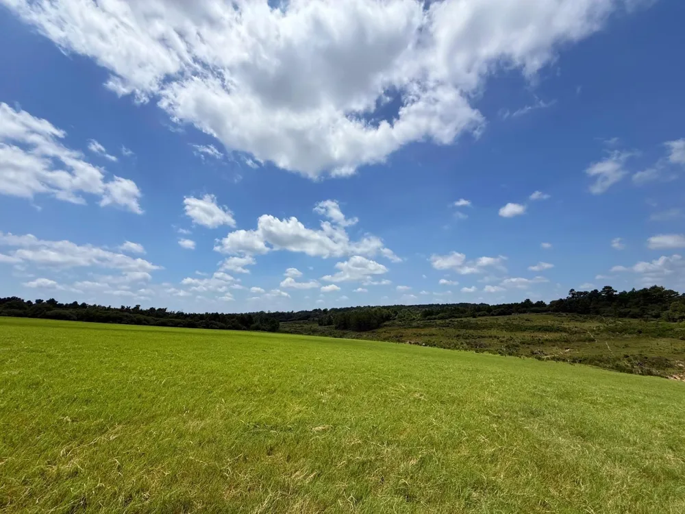 143 Cr 236 Oakwood, TX 75855