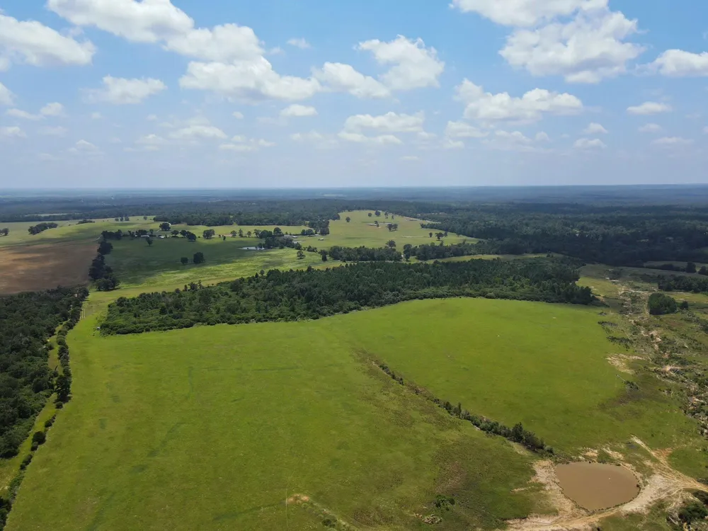 143 Cr 236 Oakwood, TX 75855