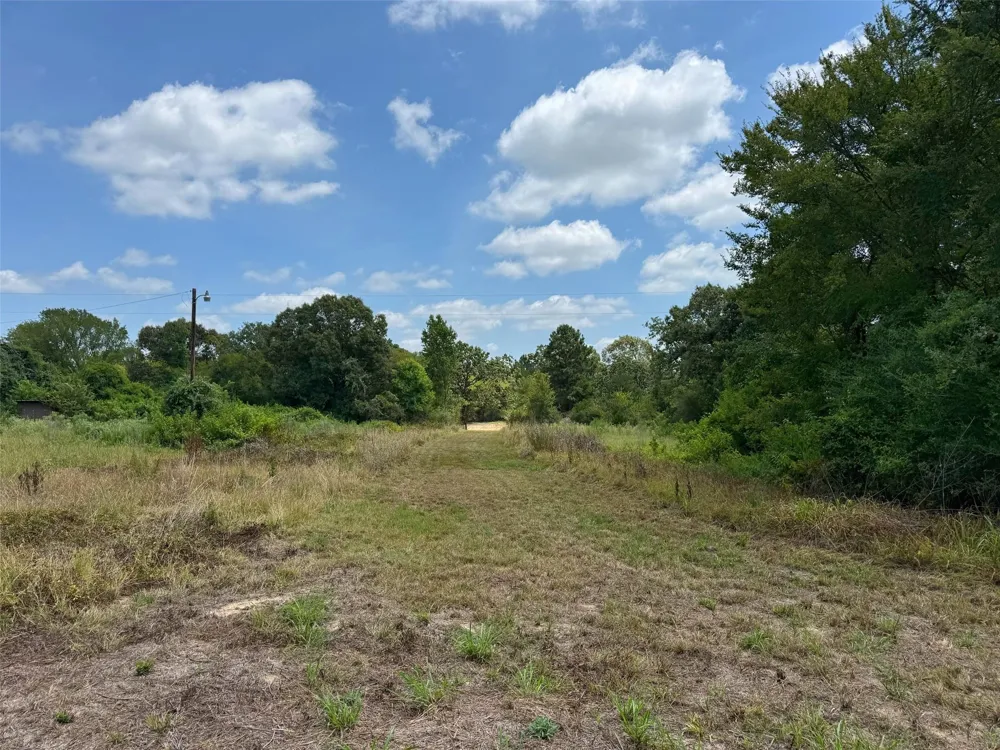 143 Cr 236 Oakwood, TX 75855