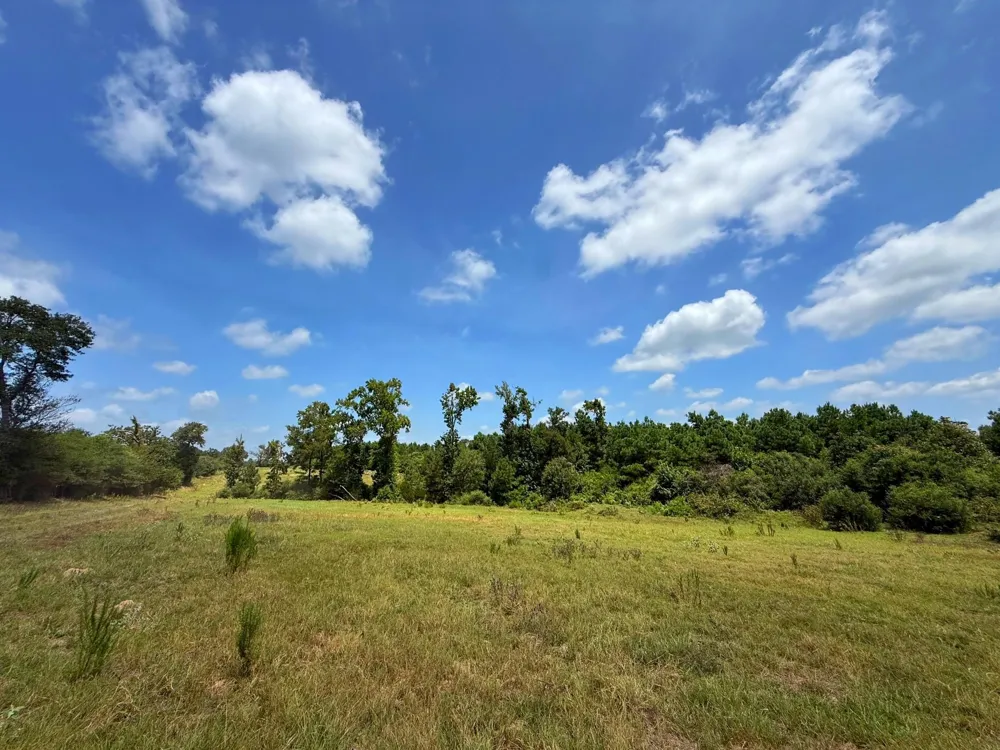 143 Cr 236 Oakwood, TX 75855