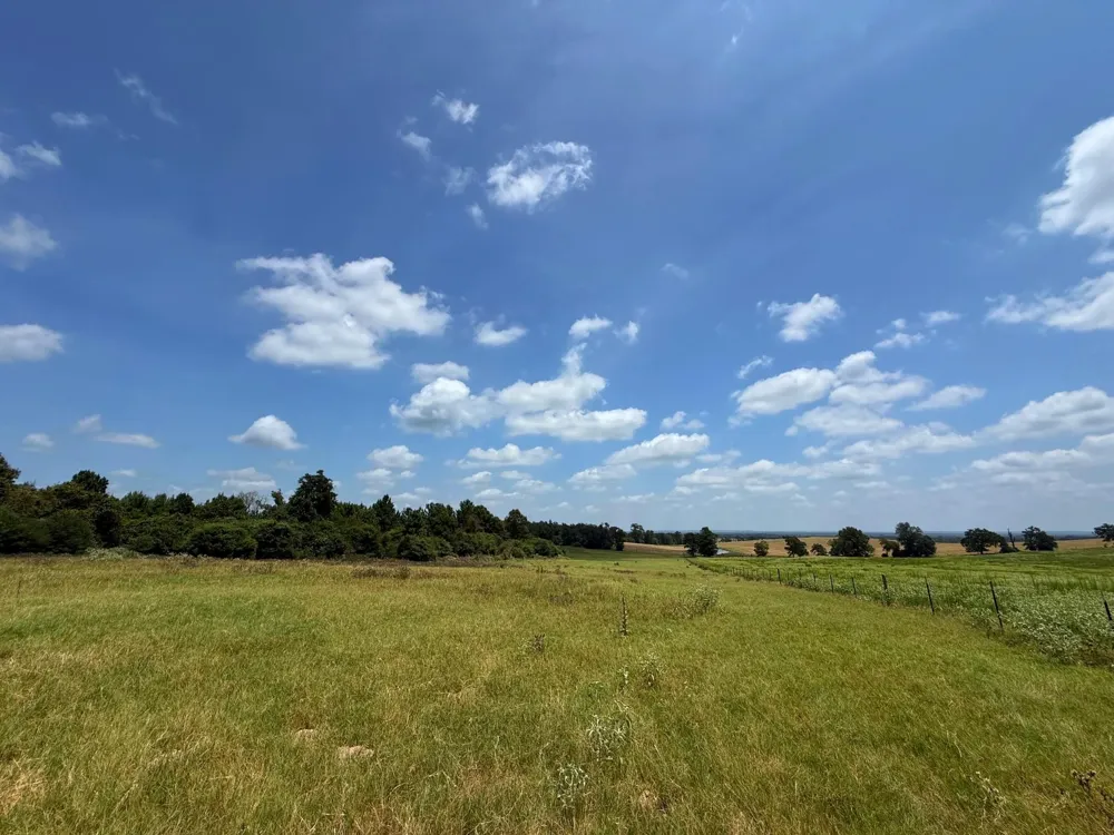 143 Cr 236 Oakwood, TX 75855