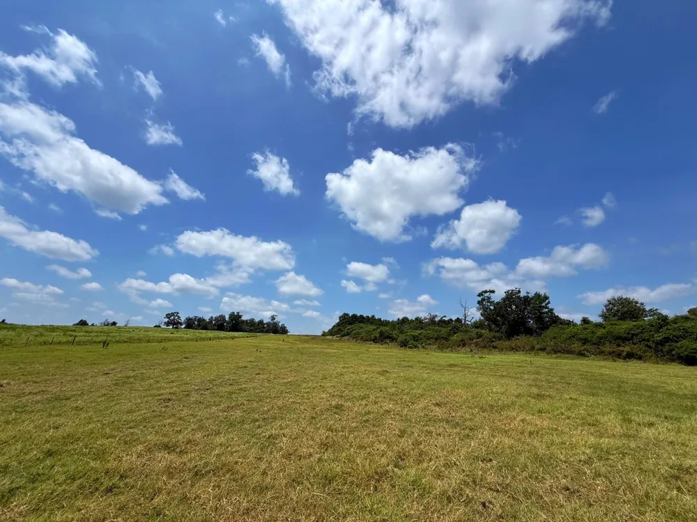 143 Cr 236 Oakwood, TX 75855