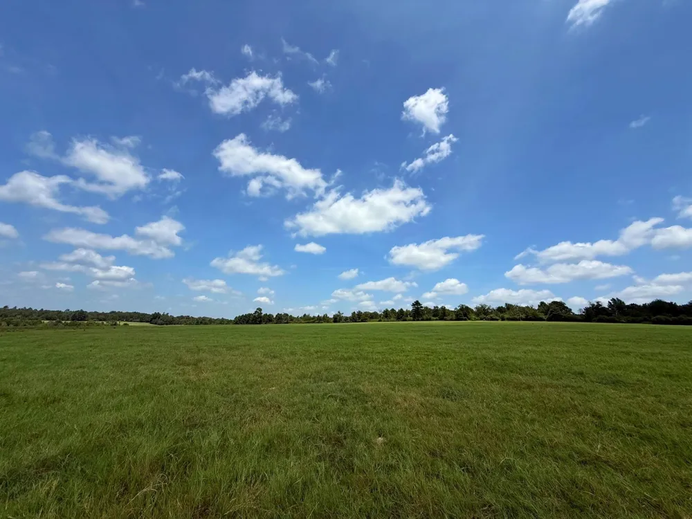 143 Cr 236 Oakwood, TX 75855