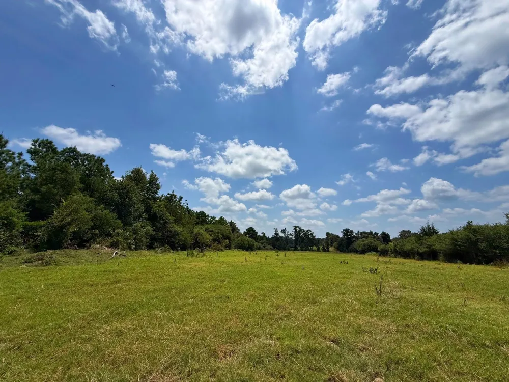 143 Cr 236 Oakwood, TX 75855