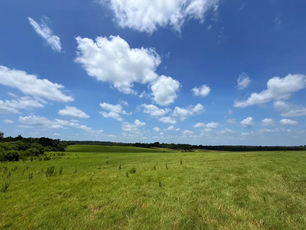 143 Cr 236 Oakwood, TX 75855