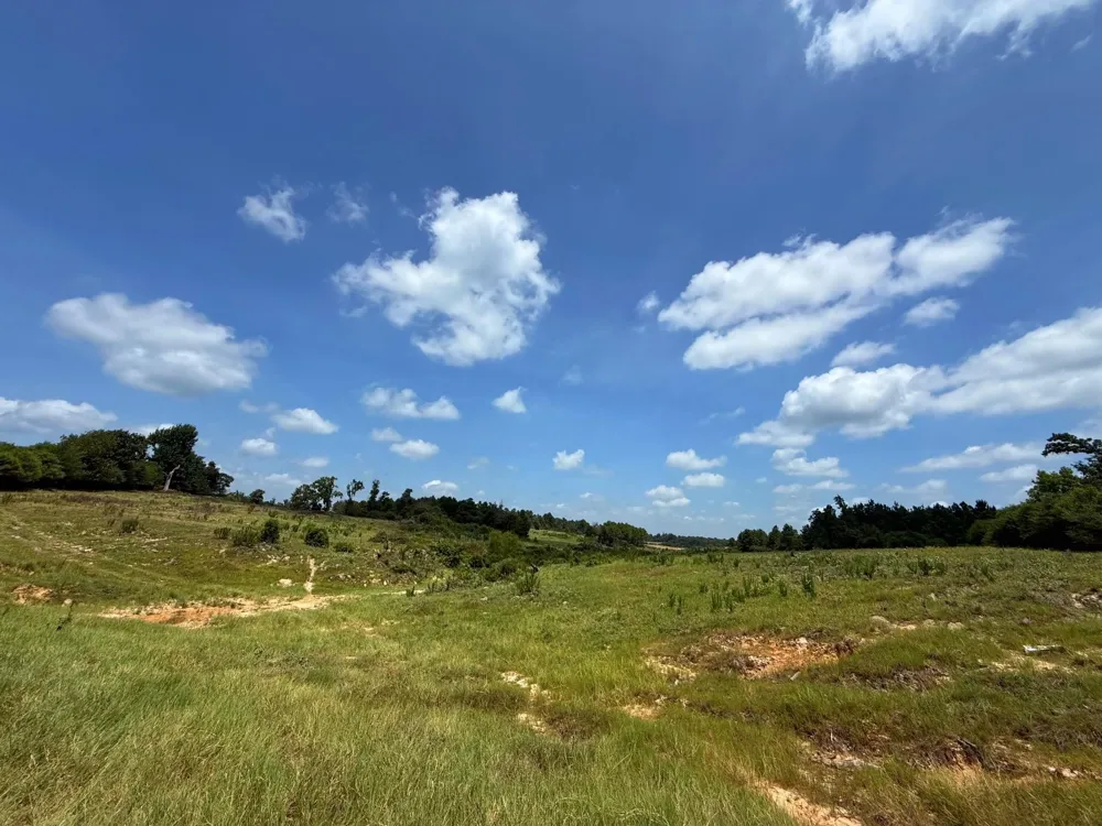 143 Cr 236 Oakwood, TX 75855