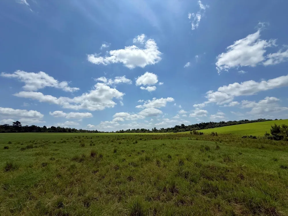 143 Cr 236 Oakwood, TX 75855