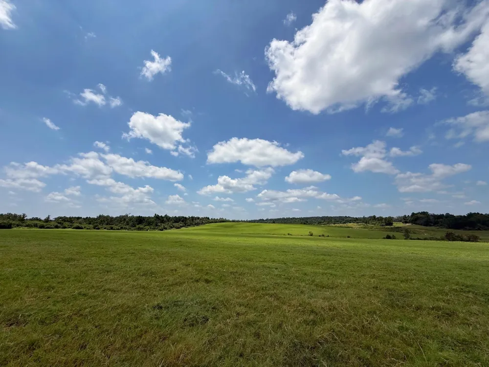 143 Cr 236 Oakwood, TX 75855