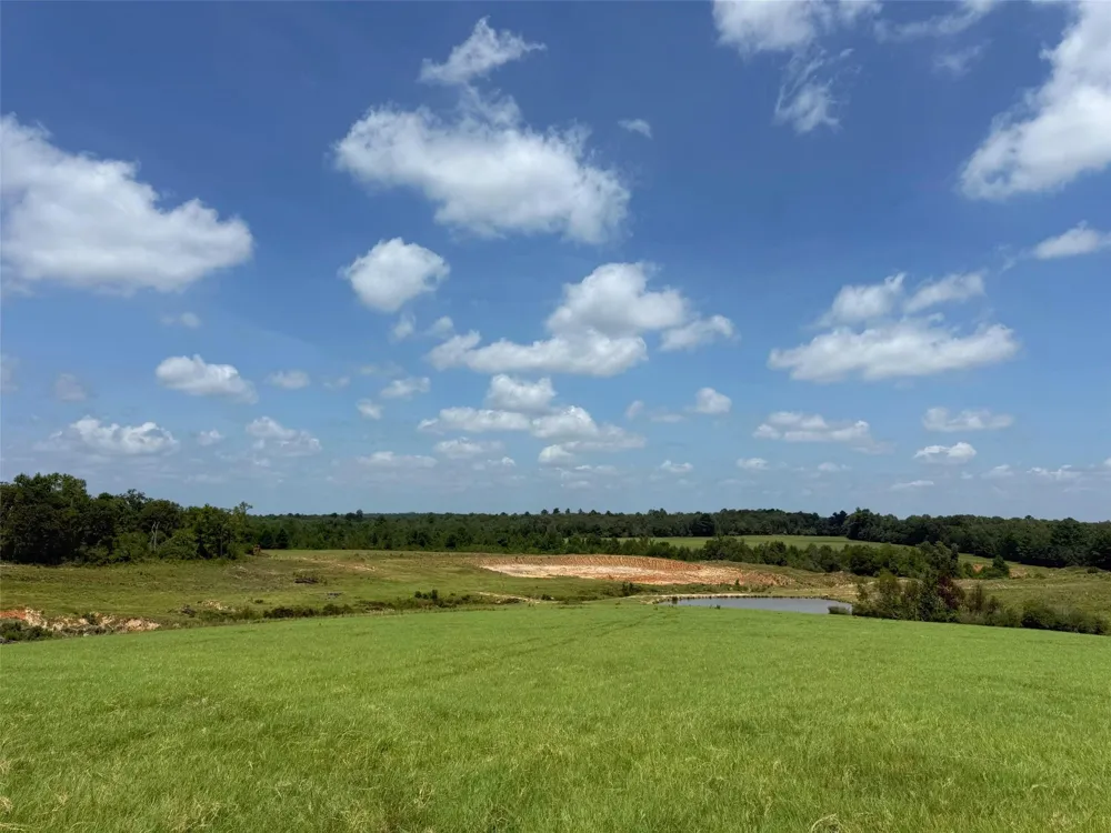 143 Cr 236 Oakwood, TX 75855