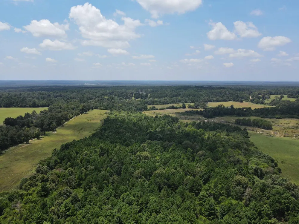 143 Cr 236 Oakwood, TX 75855