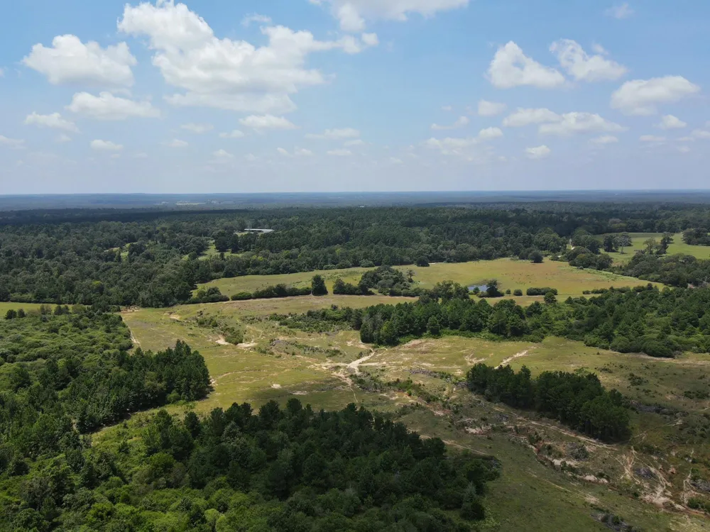 143 Cr 236 Oakwood, TX 75855