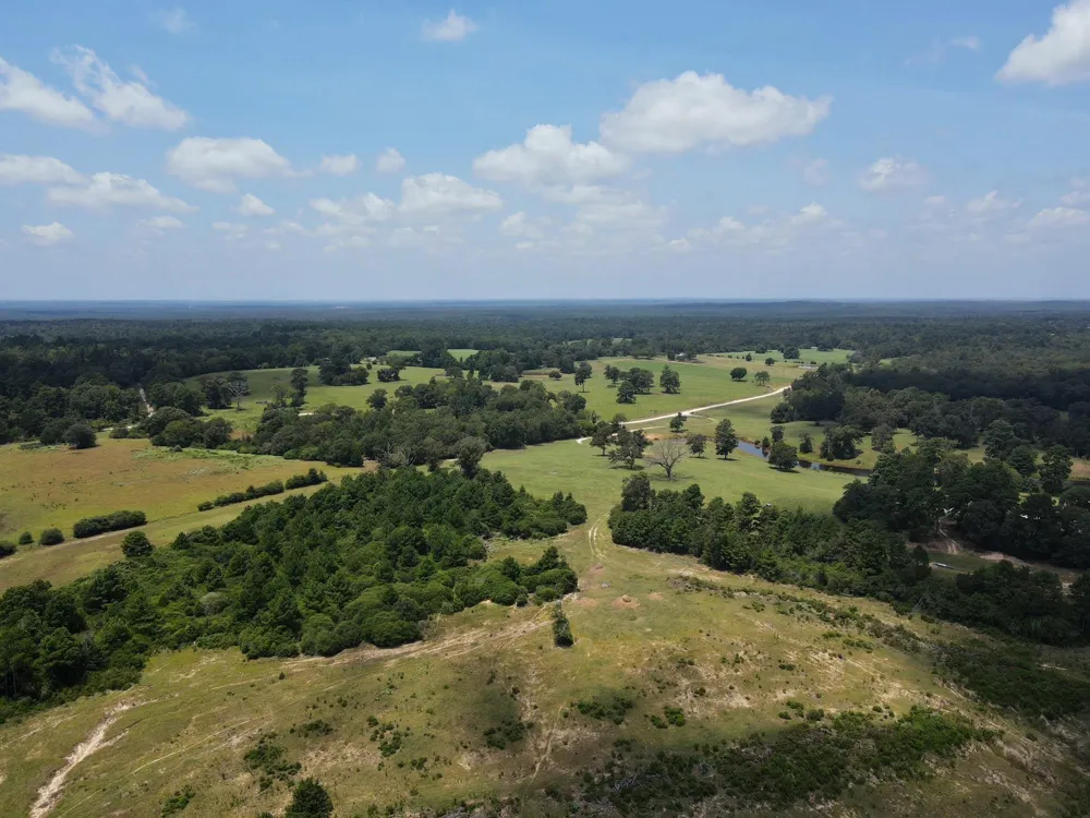 143 Cr 236 Oakwood, TX 75855