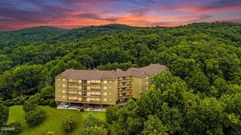 338 Pinnacle View Way #153