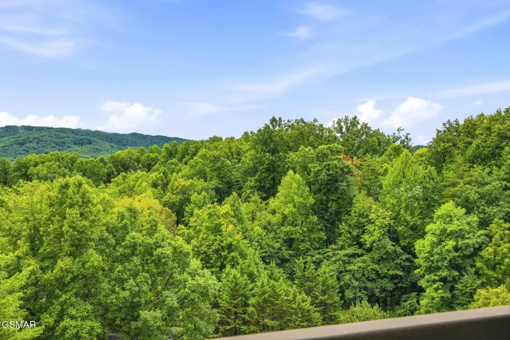 338 Pinnacle View Way #153 Gatlinburg, TN 37738