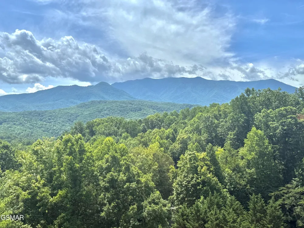 338 Pinnacle View Way #153 Gatlinburg, TN 37738