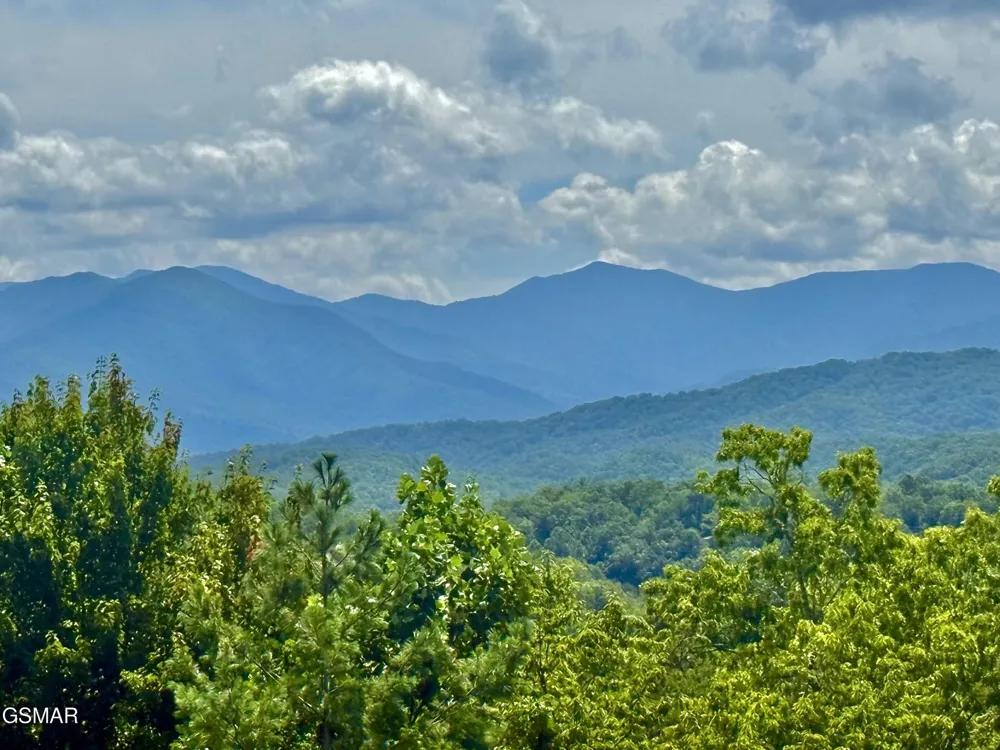 338 Pinnacle View Way #153 Gatlinburg, TN 37738
