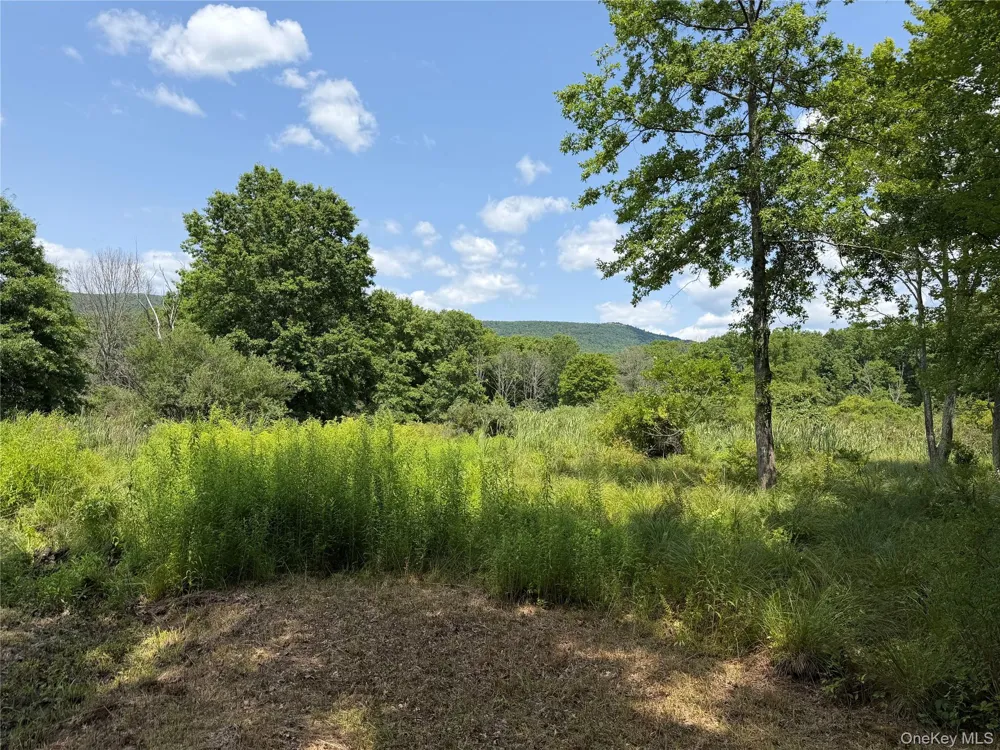 468 Decker Road Wallkill, NY 12589