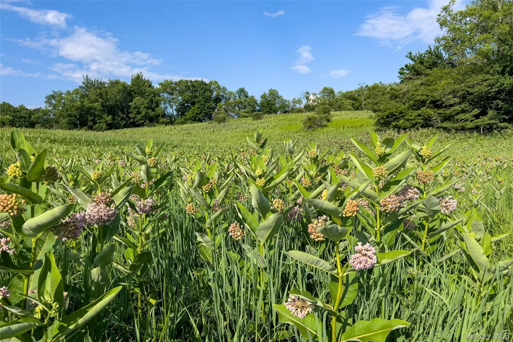 7881 County Highway 14 Delhi, NY 13753