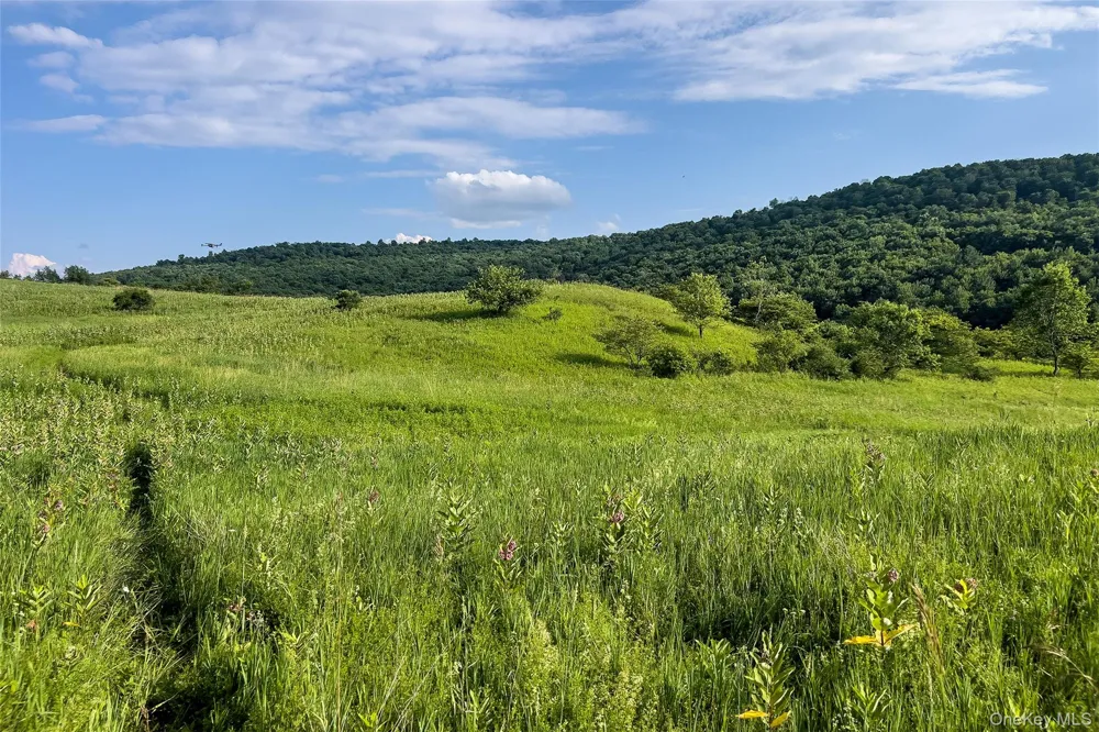 7881 County Highway 14 Delhi, NY 13753