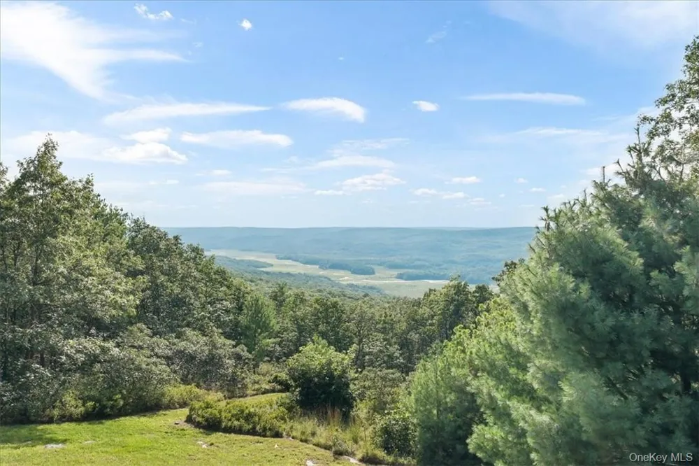96 Treetops Trail Bloomingburg, NY 12721