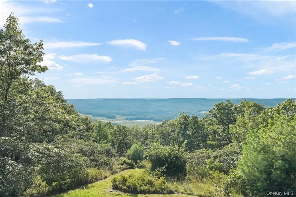 96 Treetops Trail Bloomingburg, NY 12721